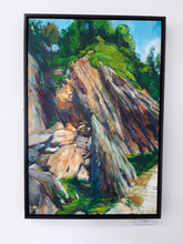 Load image into Gallery viewer, Rockpooling