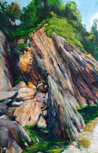 Load image into Gallery viewer, Rockpooling