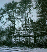 Load image into Gallery viewer, Structure and Form