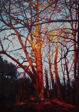 Load image into Gallery viewer, Interface