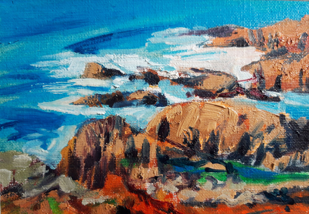 Whiting Cove study